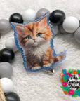 Maine Coon Kitten Decal & Acrylic Blank COMBO