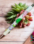 Nutritionist Pen Wrap UV DTF