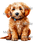 Labradoodle Pup Decal & Acrylic Blank COMBO