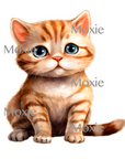 American Shorthair Kitten Decal & Acrylic Blank COMBO