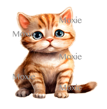 American Shorthair Kitten Decal & Acrylic Blank COMBO