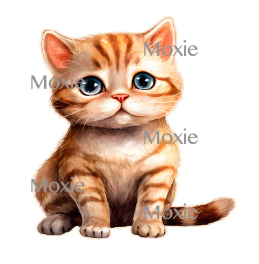 American Shorthair Kitten Decal & Acrylic Blank COMBO