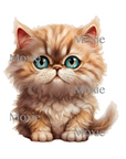 Persian Kitten Decal & Acrylic Blank COMBO