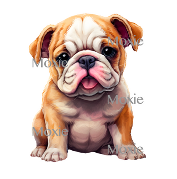 English Bulldog Pup Decal & Acrylic Blank COMBO