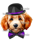 Hipster Labradoodle Decal & Acrylic Blank COMBO