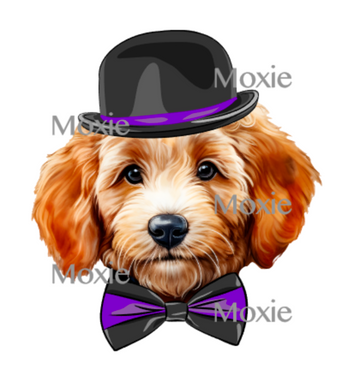 Hipster Labradoodle Decal & Acrylic Blank COMBO