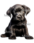 Black Labrador Puppy Decal & Acrylic Blank COMBO