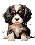Tri Color Cavalier King Charles Decal & Acrylic Blank COMBO