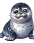 Seal Decal & Acrylic Blank COMBO