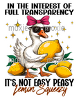 Full Transparency Easy Peasy Decal & Acrylic Blank COMBO