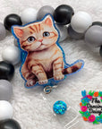 American Shorthair Kitten Decal & Acrylic Blank COMBO