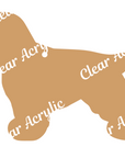 Cocker Spaniel