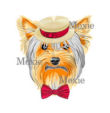 Hipster Yorkie Decal & Acrylic Blank COMBO