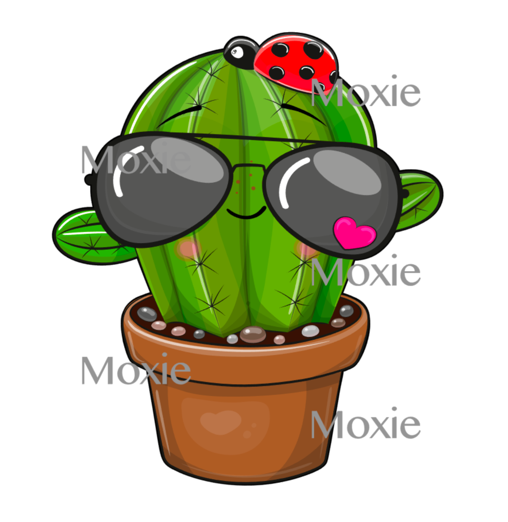 Cactus Sunglasses Decal Acrylic Blank COMBO