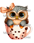 Baby Owl Girl Decal & Acrylic Blank COMBO