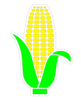 Corn Cob Acrylic Blank