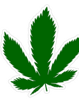 Cannabis Pot Leaf
