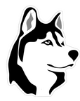 Siberian Husky Face Acrylic Blank