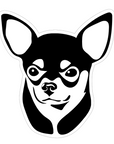 Chihuahua Face Dog Acrylic Blank
