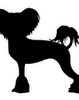 Chinese Crested Dog Profile Acrylic Blank