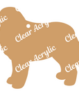 Bernese Mountain Dog Profile Acrylic Blank