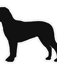 Greater Swiss Mountain Dog Acrylic Blank