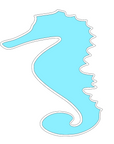 Seahorse A Acrylic Blank