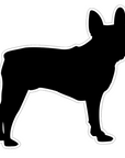 Boston Terrier Acrylic Blank