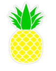 Pineapple Acrylic Blank