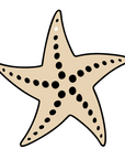 Starfish