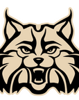 Wildcat Face Acrylic Blank
