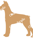 Doberman Pinscher Dogs Acrylic Blanks