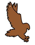 Hawk Acrylic Blank