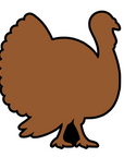 Turkey Acrylic Blank