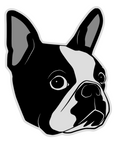Boston Terrier Face Acrylic Blank