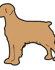 Brittany Spaniel Acrylic Blank