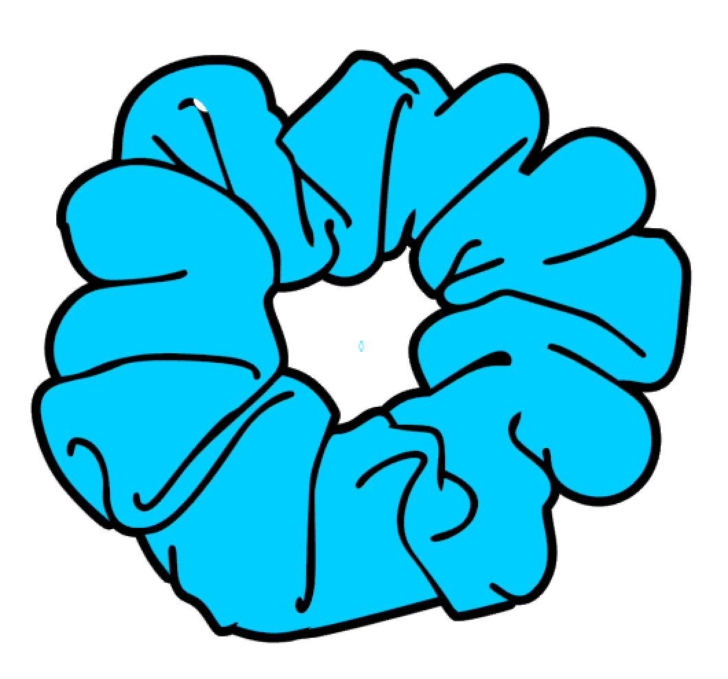 Hair Scrunchie Acrylic Blank