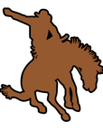 Bronco Rider Acrylic Blank