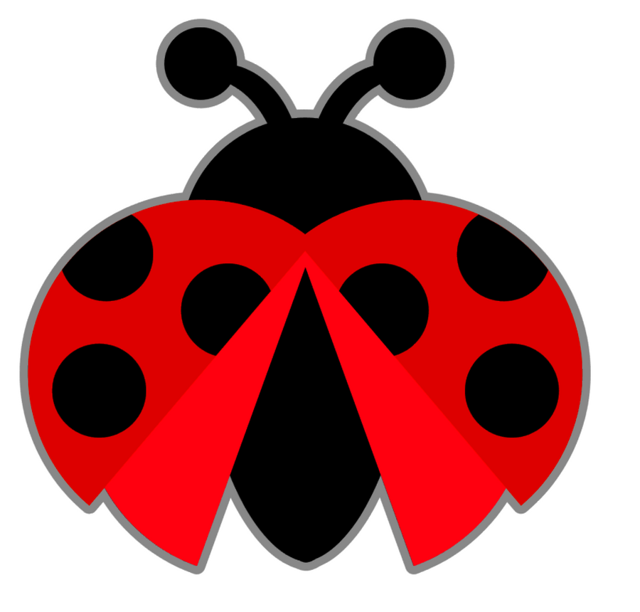 Ladybug #2 Acrylic Blank