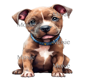 Pitbull #2 Pup Decal & Acrylic Blank COMBO