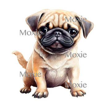 Pug Puppy Decal & Acrylic Blank COMBO