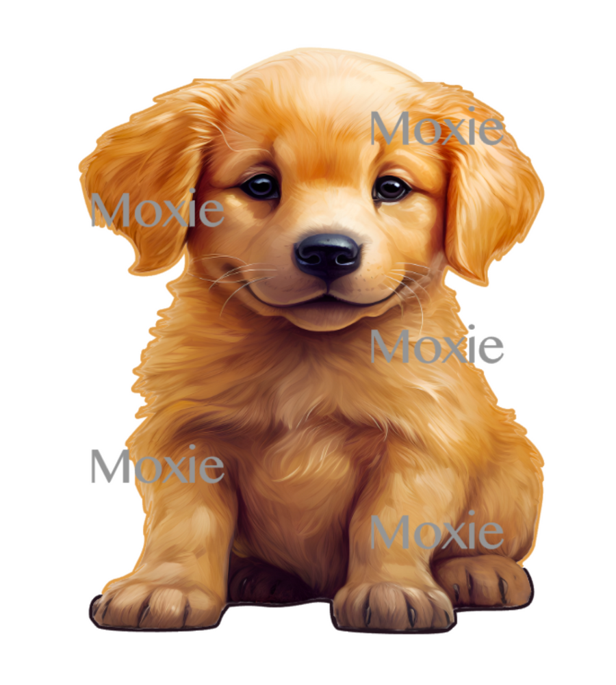 Golden Retriever Puppy Decal & Acrylic Blank COMBO