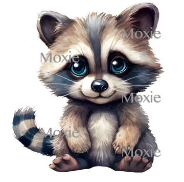 Baby Raccoon Decal & Acrylic Blank COMBO