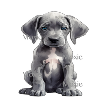 Great Dane Puppy Decal & Acrylic Blank COMBO