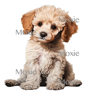 Poodle Puppy Decal & Acrylic Blank COMBO