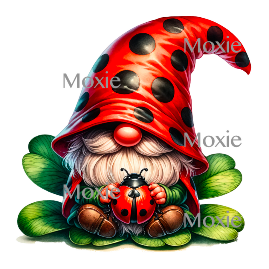 Lady Bug Gnome Acrylic Blank combo