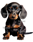 Black Dachshund Decal & Acrylic Blank COMBO