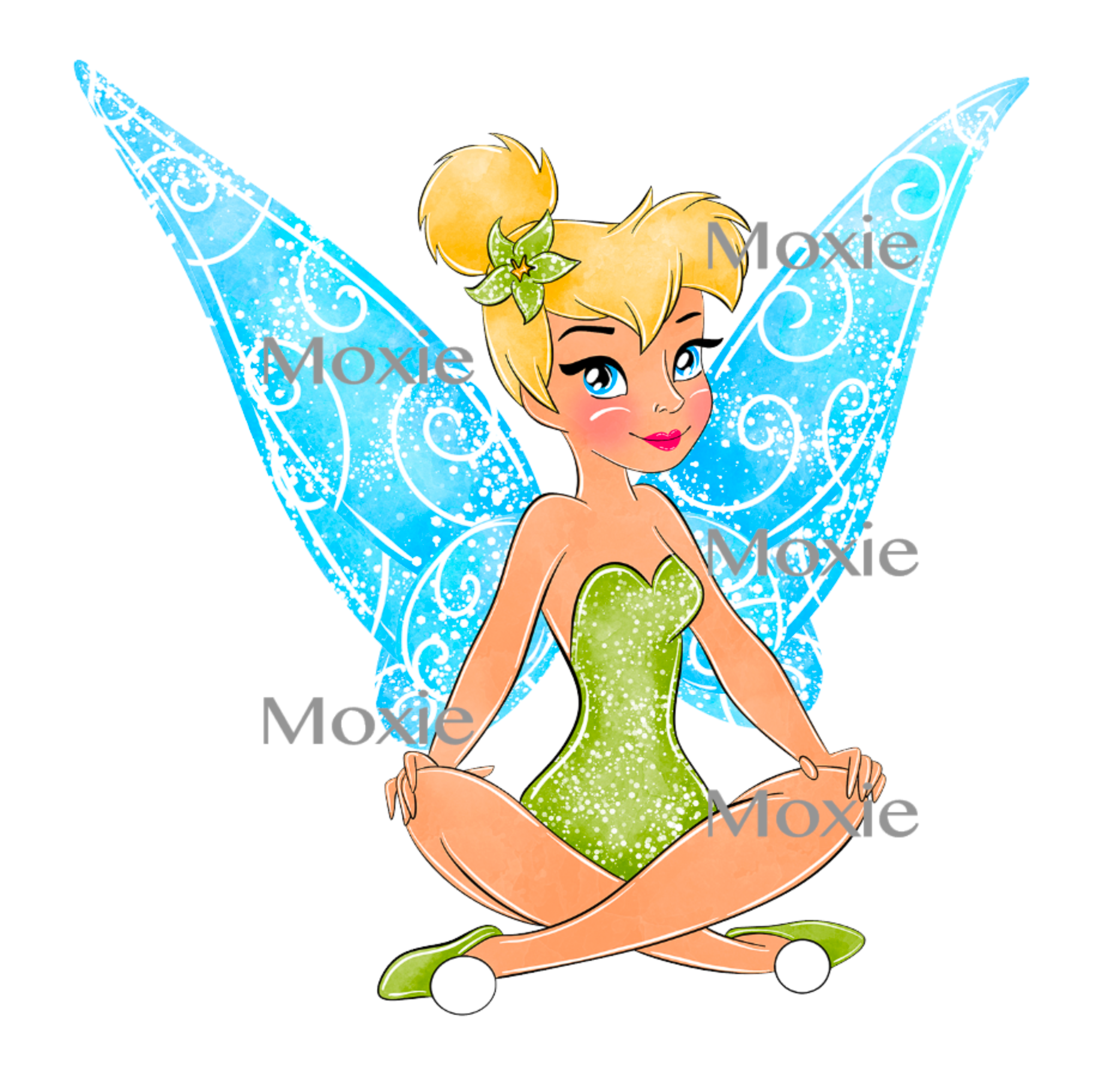 Tinkerbell Decal &amp; Acrylic Blank COMBO