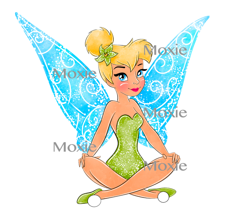 Tinkerbell Decal & Acrylic Blank COMBO