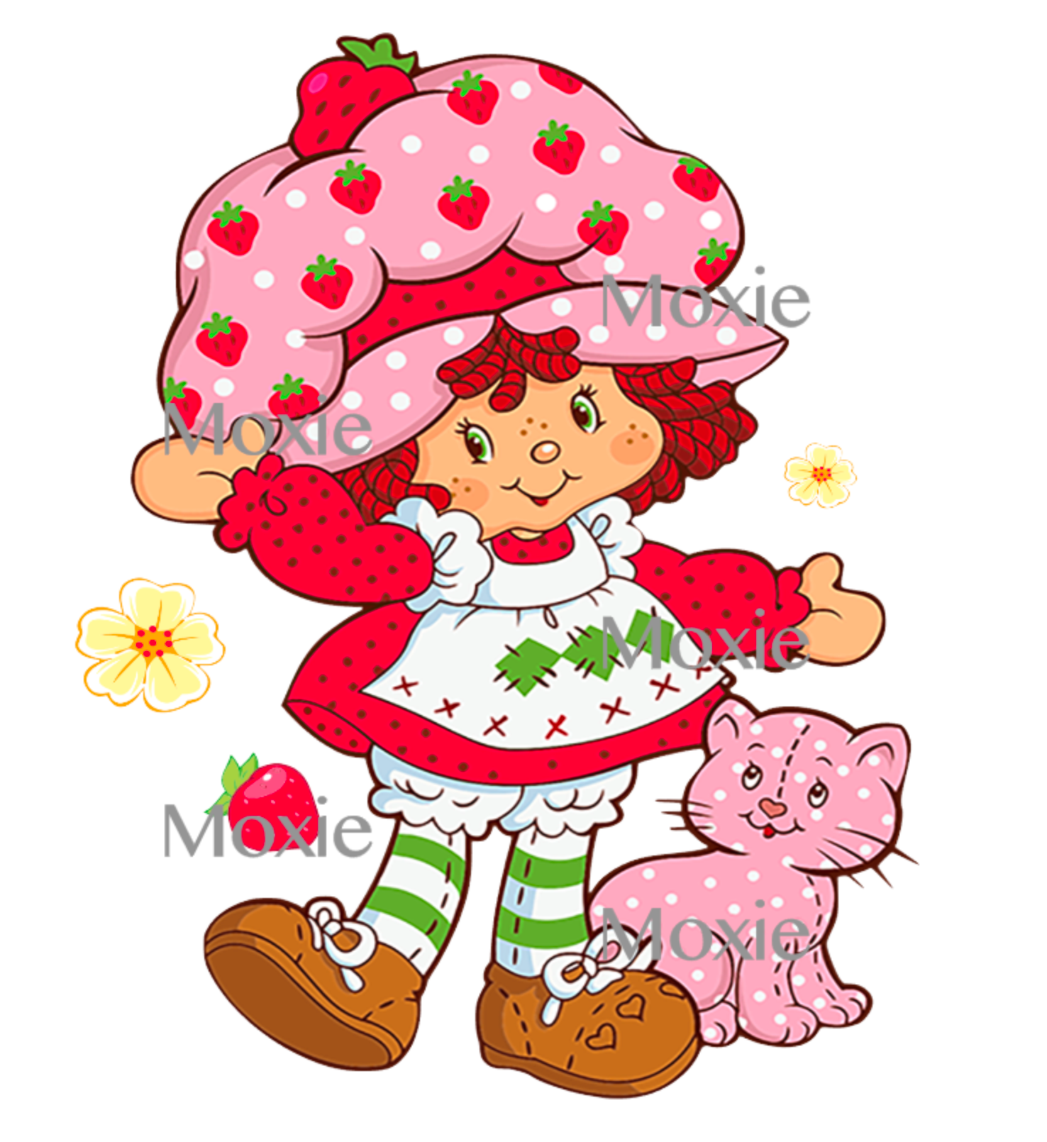 Strawberry Shortcake Acrylic blank decal
